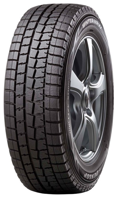 фото шины DUNLOP WINTER MAXX WM01 215/55 R17 94T